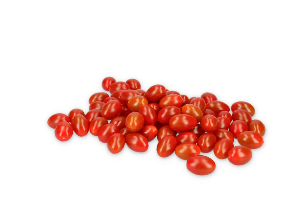 Белламария F1