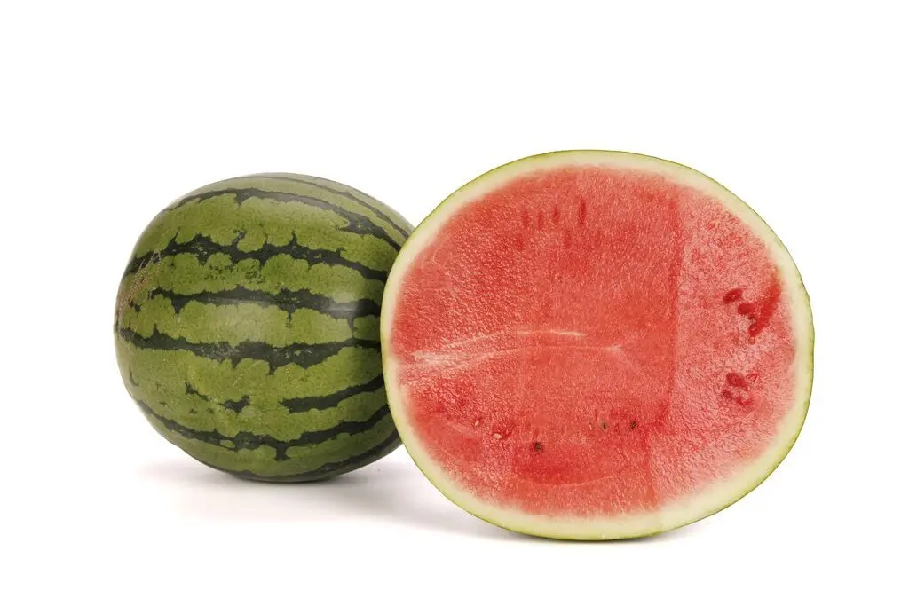 Коралсиньо F1