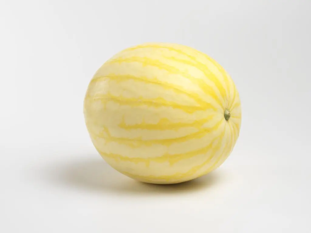 Тропикал Аполло F1