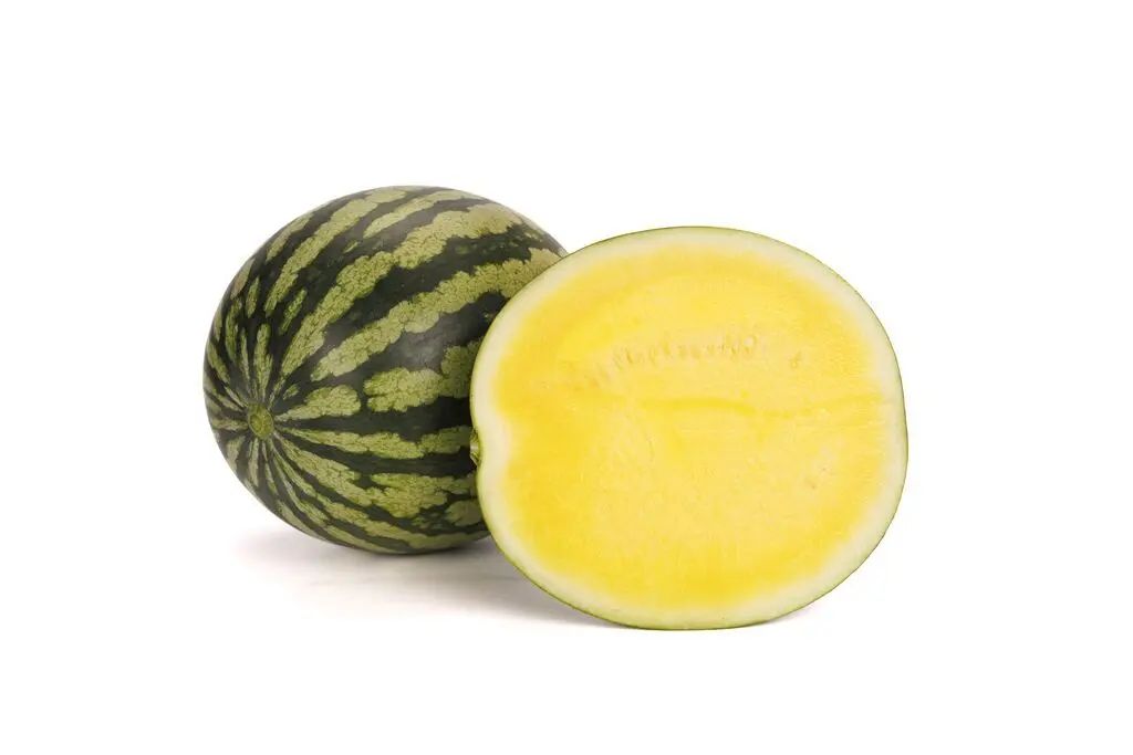 Тропикал Хани F1