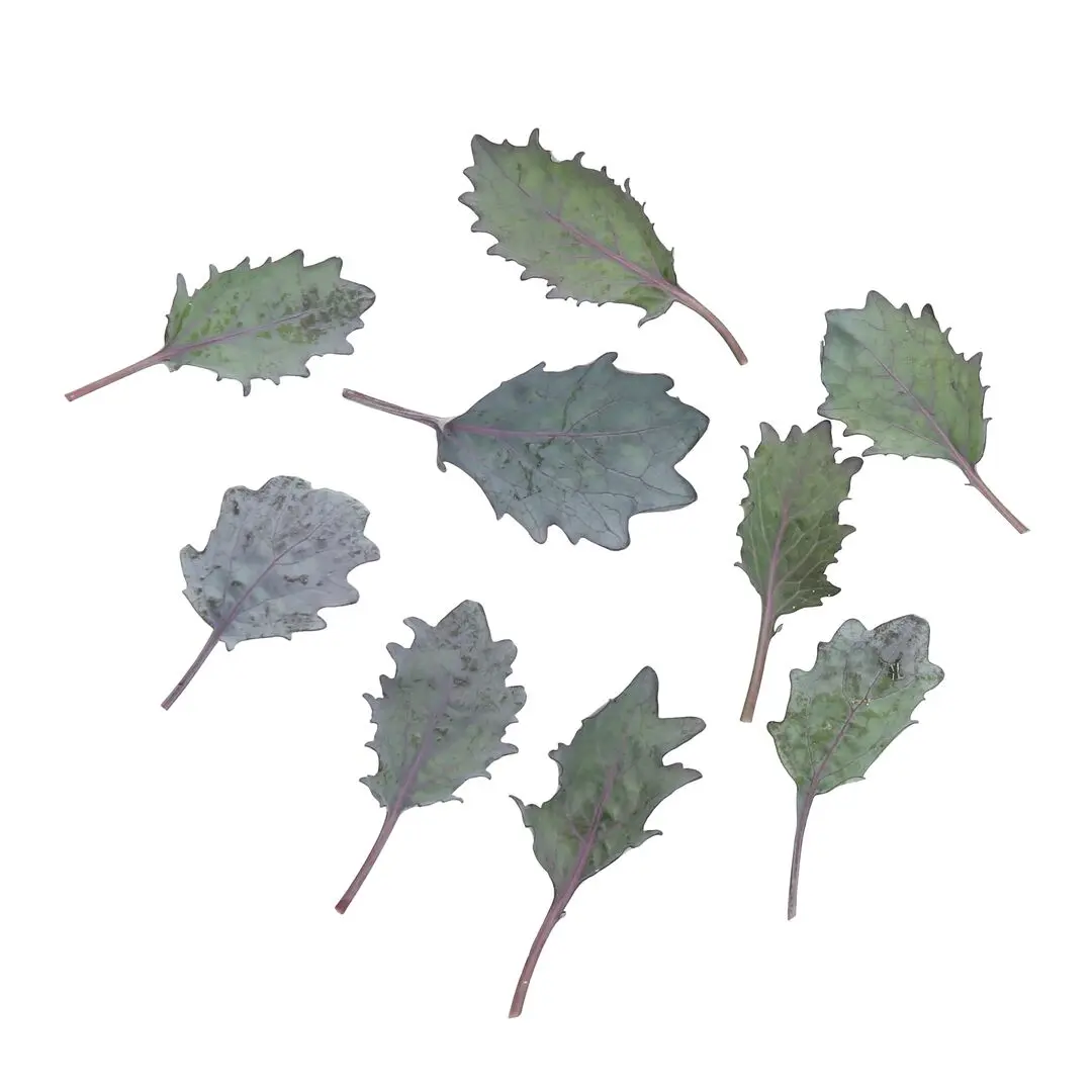 Картинка статьи