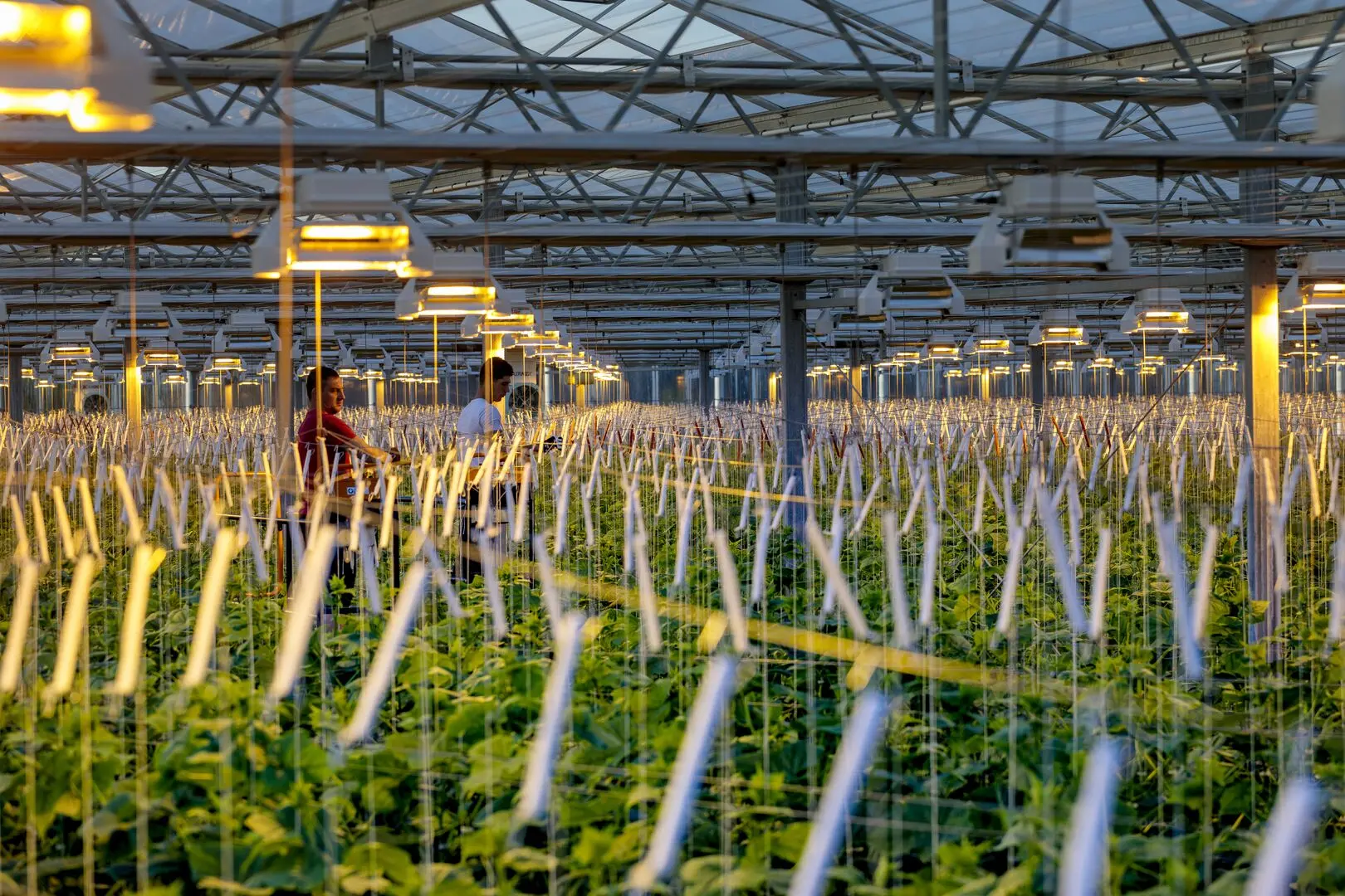 Картинка статьи