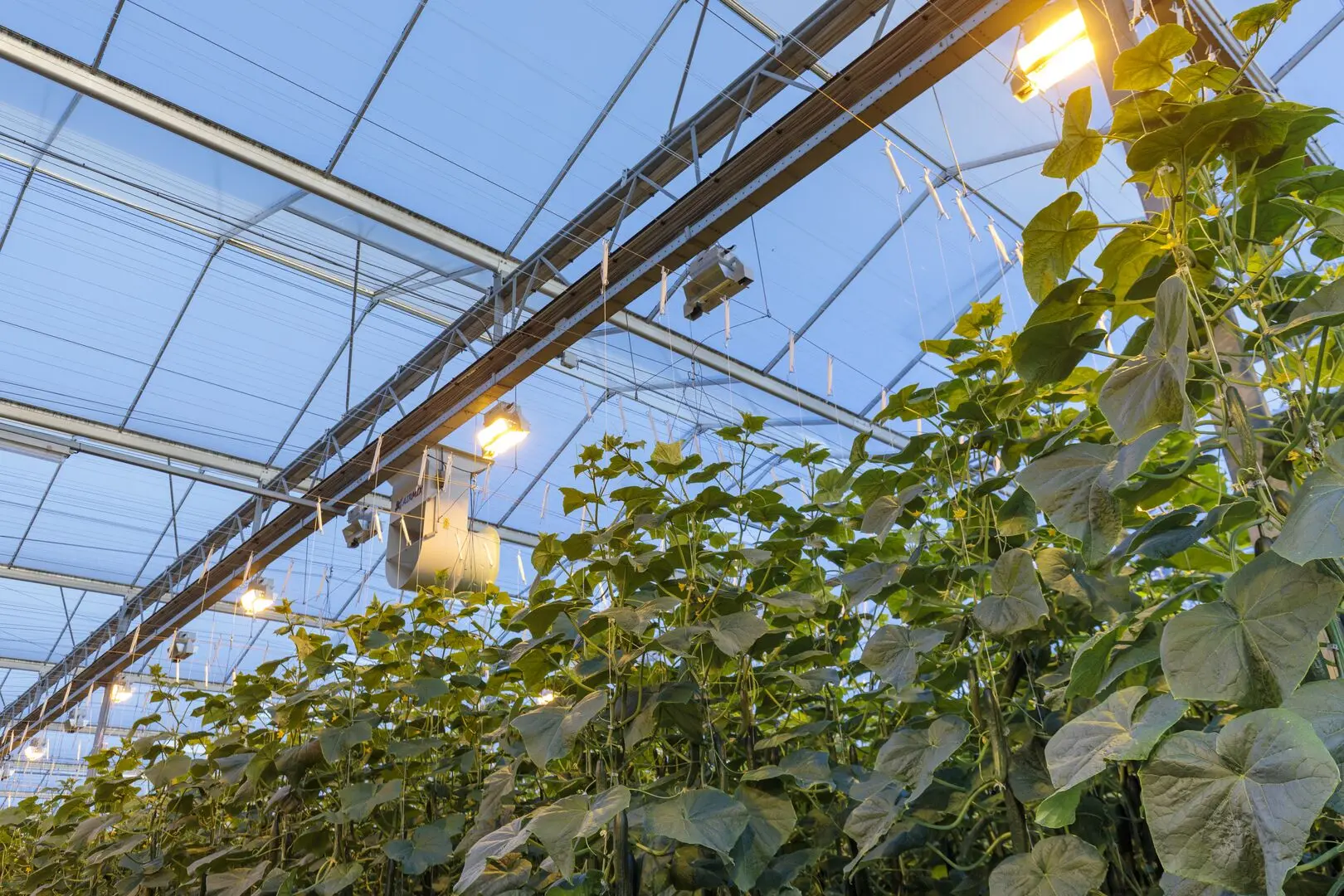 Картинка статьи