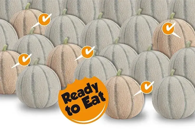 Картинка статьи