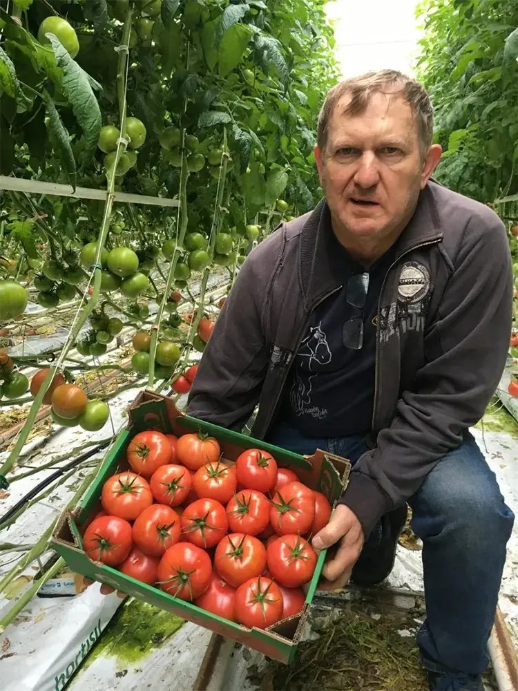 Картинка статьи