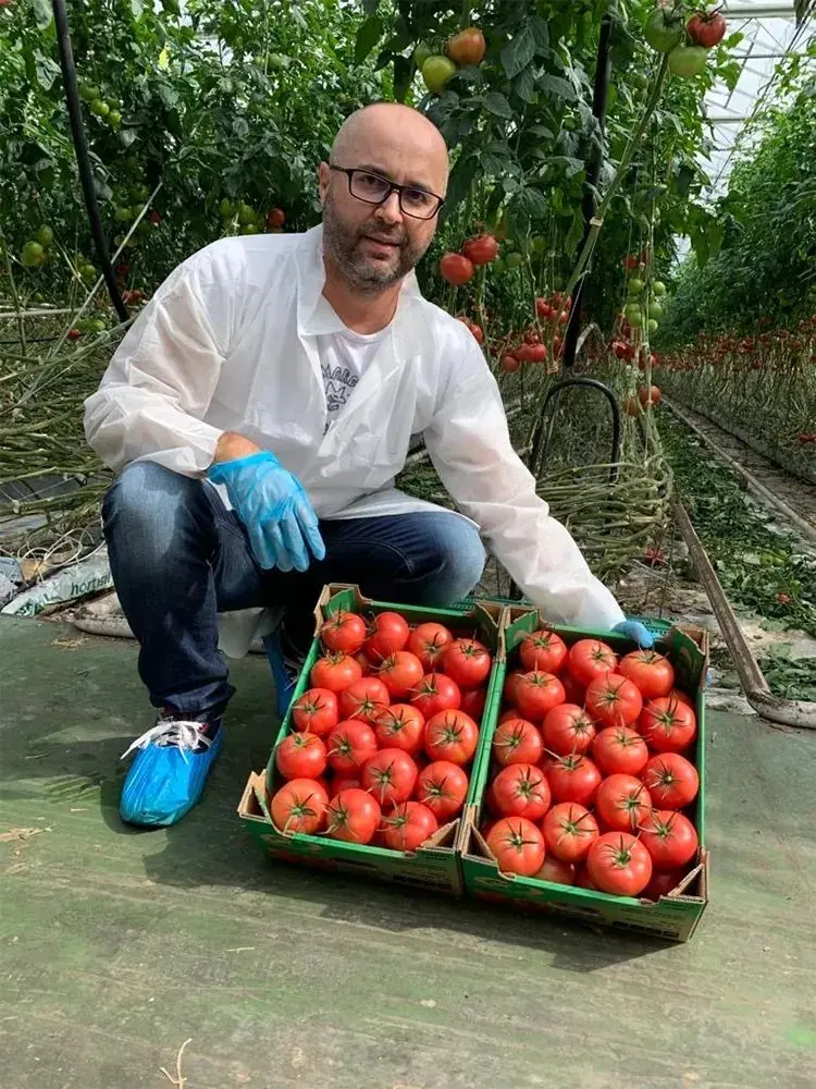 Картинка статьи