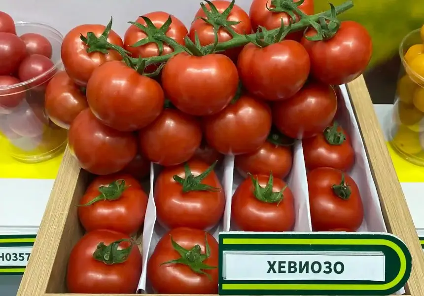 Картинка статьи