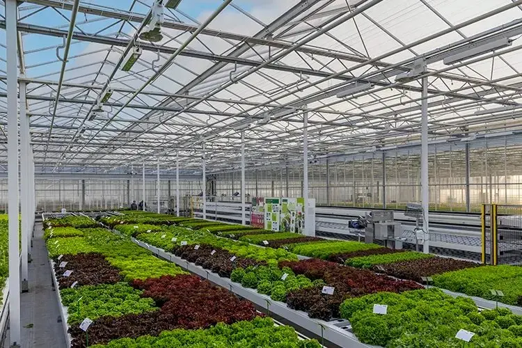 Картинка статьи