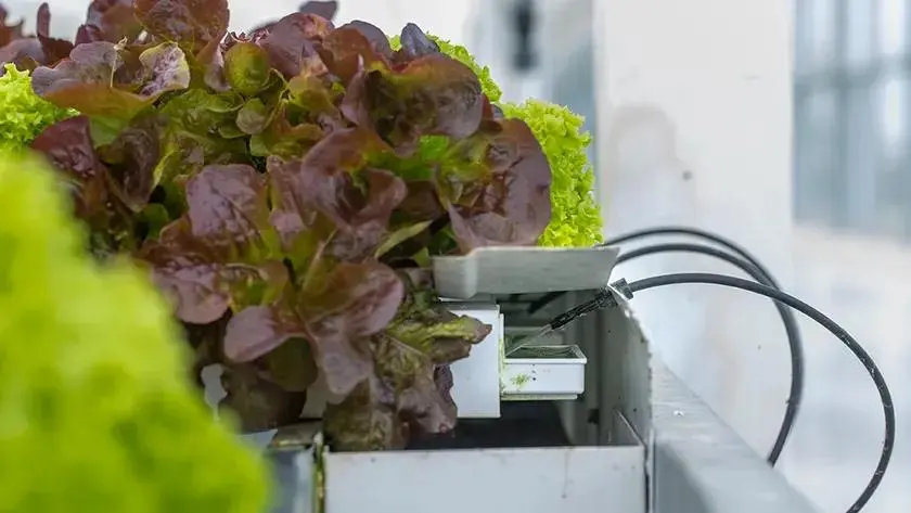 Картинка статьи