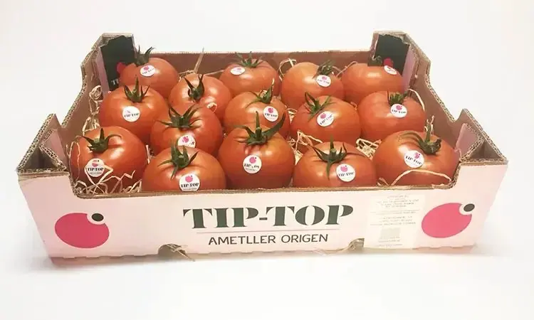 Картинка статьи