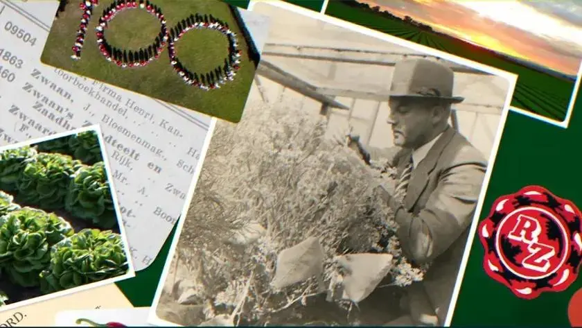 Картинка статьи