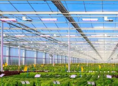 Выступления Сергея Нестерова и Сергея Семёнова в рамках семинара Ассоциации "Теплиц России"