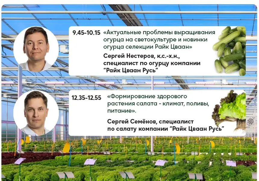 Картинка статьи