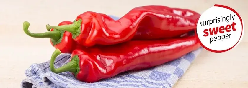 Картинка статьи