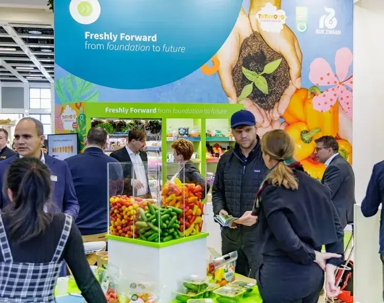 Картинка статьи