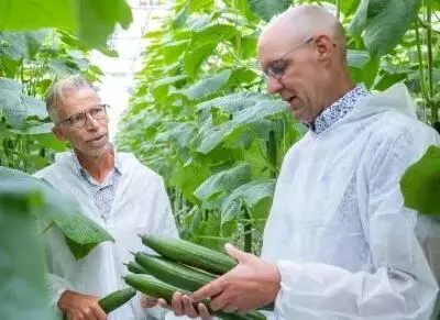 Эволюция методов производства