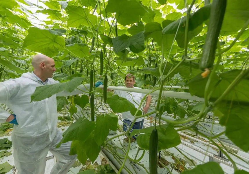 Картинка статьи