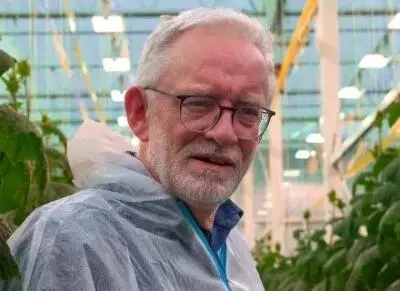 Расширение линейки огурцов за счет селекции новых типов