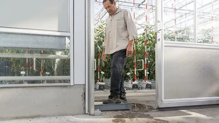 Картинка статьи