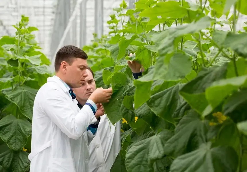 Картинка статьи