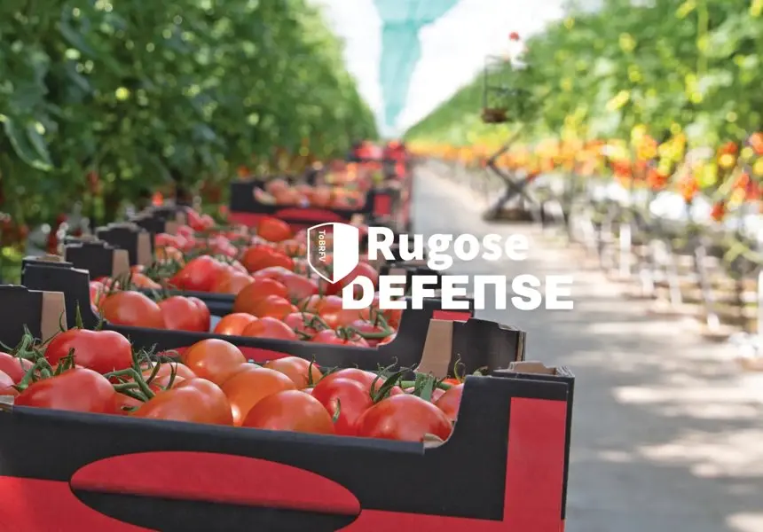 Картинка статьи