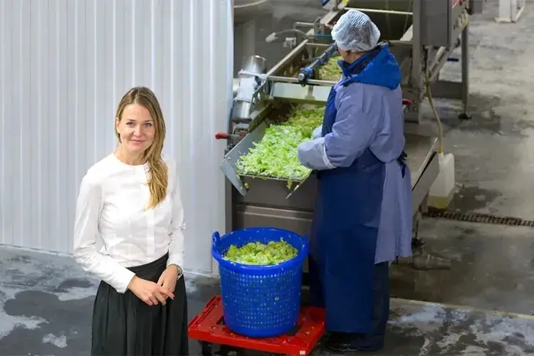 Картинка статьи