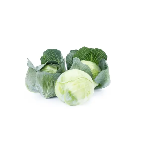 Миссурима F1