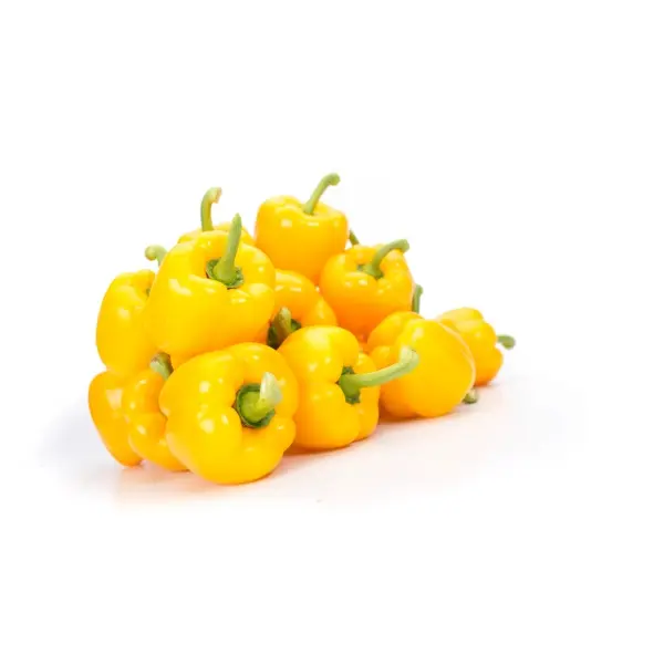 Оллраундер F1