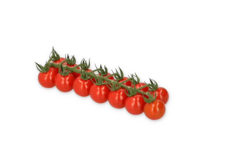 Провентура F1