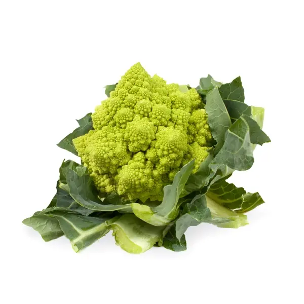 Пунтоверде F1