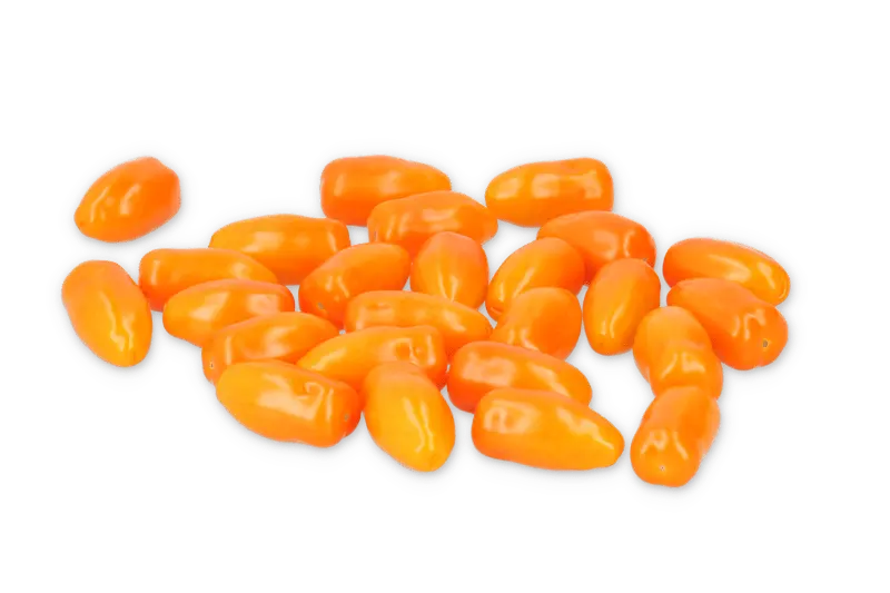 Виллемини F1