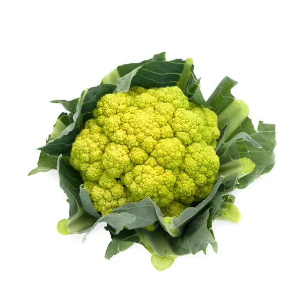 Витаверде F1